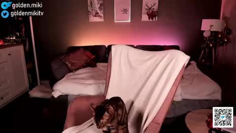 Shy in the streets but a freak in the sheets online show from 02-02-25, 06:15