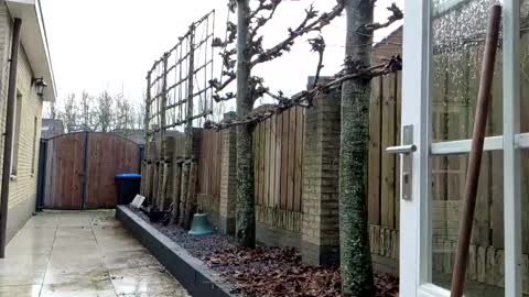 Snapshot of goldenelixxxir chatting on 12-23-24, 12:41 online show from 12-23-24, 12:41