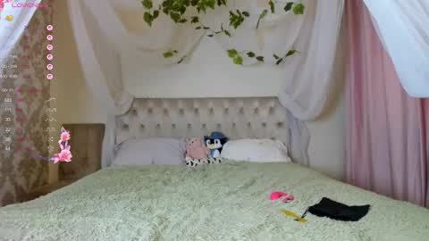 Snapshot of gongjulee chatting on 10-12-25, 02:43 gongjulee online show from 10-12-25, 02:43