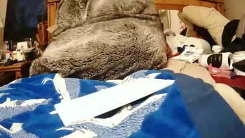 Snapshot of goodbootaye chatting on 12-27-24, 06:10 Juicy Booty online show from 12-27-24, 06:10