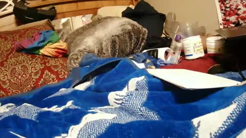 Snapshot of goodbootaye chatting on 12-28-24, 03:59 Juicy Booty online show from 12-28-24, 03:59