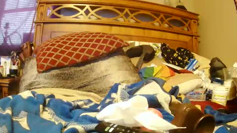 Snapshot of goodbootaye chatting on 01-18-25, 06:53 Juicy Booty online show from 01-18-25, 06:53