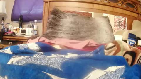 Snapshot of goodbootaye chatting on 02-23-25, 02:46 Juicy Booty online show from 02-23-25, 02:46