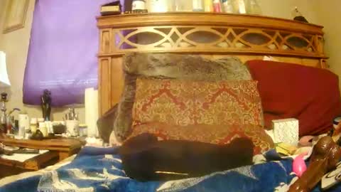 Snapshot of goodbootaye chatting on 02-27-25, 06:42 Juicy Booty online show from 02-27-25, 06:42