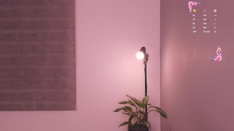 Snapshot of gorgeous_brunette chatting on 05-19-26, 06:31 Rose online show from 05-19-26, 06:31