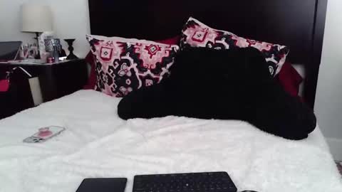 Snapshot of gothbaby305 chatting on 03-05-26, 06:59 gothbaby305 online show from 03-05-26, 06:59