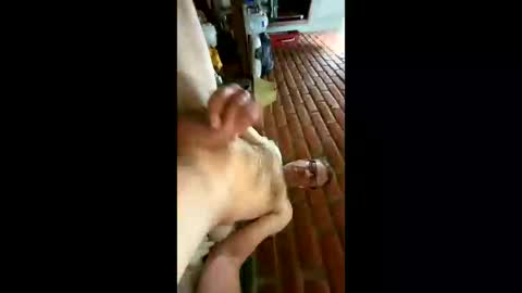 Snapshot of greaser0 chatting on 11-26-25, 05:30 greaser0 online show from 11-26-25, 05:30