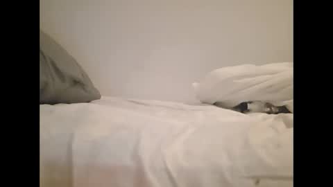 greekprince77 online show from 03-02-26, 12:56