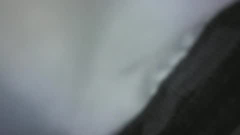 Green Robin Hood online show from 12-02-24, 04:42