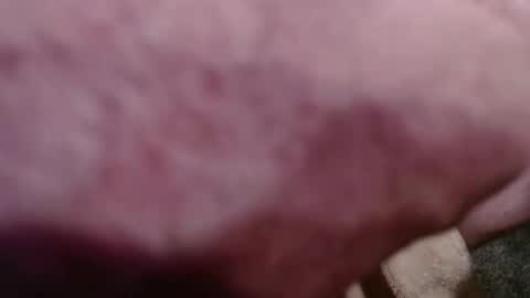 Greg online show from 04-04-26, 05:43