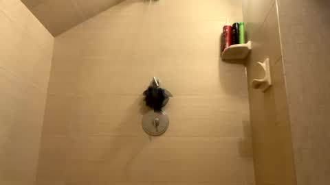 Perfectlyaveragesavage online show from 12-31-24, 01:30