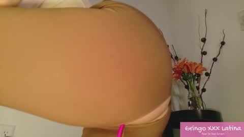 gringo_xxx_latina online show from 11-20-25, 03:50