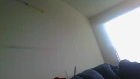 Snapshot of gringoloco253783 chatting on 12-31-24, 04:46 certifiedloverboy online show from 12-31-24, 04:46