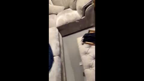 gt79802068 online show from 11-11-25, 07:03