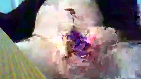 Gary online show from 01-26-25, 03:58