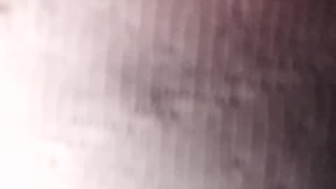 Gu online show from 01-20-25, 03:26