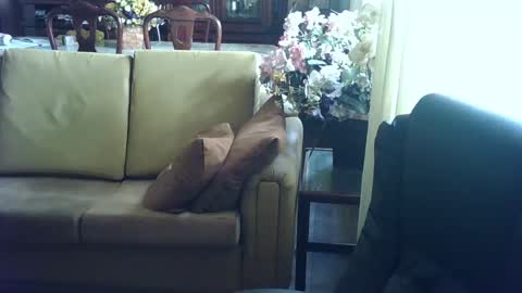 Snapshot of gutobhz249564 chatting on 03-04-25, 06:07 gutobhz249564 online show from 03-04-25, 06:07