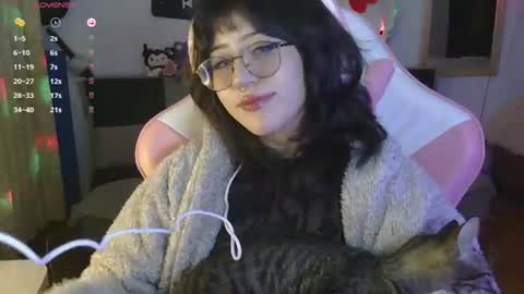 Hachiko online show from 07-28-26, 01:23