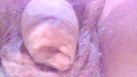 hagridthehorrible online show from 02-05-25, 12:53