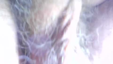 hagridthehorrible online show from 04-07-26, 11:32