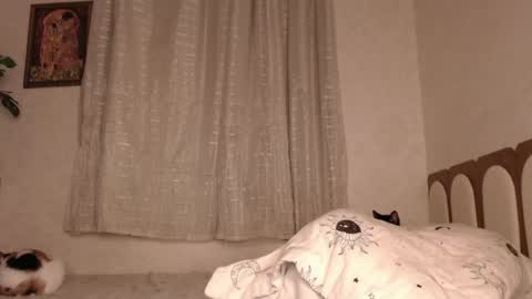 Snapshot of haidyhaven chatting on 05-26-26, 03:13 haidyhaven online show from 05-26-26, 03:13