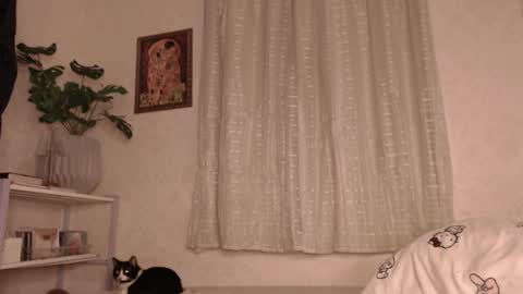 Snapshot of haidyhaven chatting on 06-11-26, 02:53 haidyhaven online show from 06-11-26, 02:53