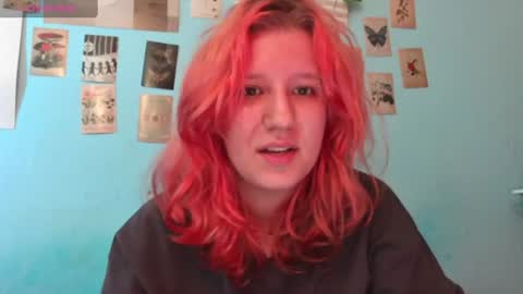 Snapshot of haileyfoxy chatting on 07-12-26, 01:13 Hailey online show from 07-12-26, 01:13
