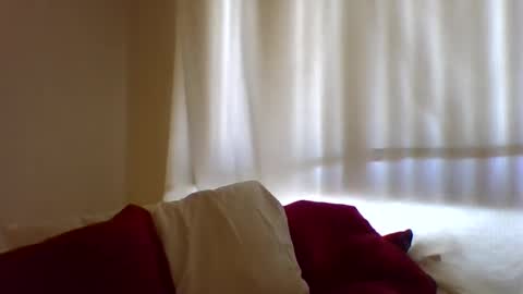 Hailey online show from 02-11-25, 07:38