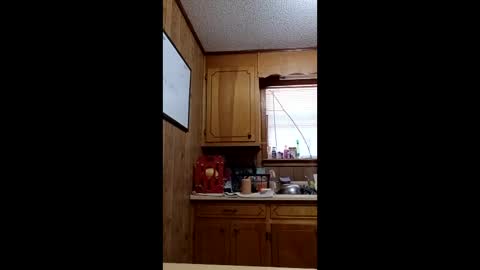 hailstorm32 online show from 04-19-26, 06:54