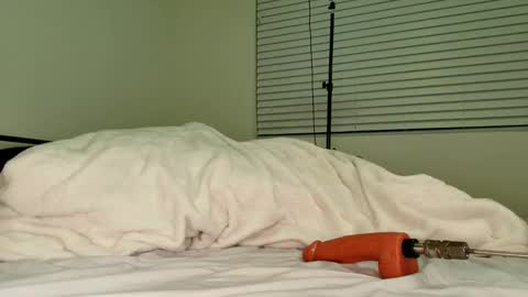 HailWilds online show from 02-18-26, 11:33