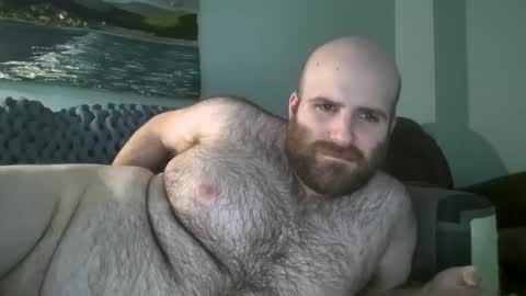 Snapshot of hairiestbear chatting on 01-14-25, 03:47 Hairiest Bear online show from 01-14-25, 03:47