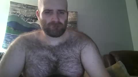 Snapshot of hairiestbear chatting on 02-17-25, 11:34 Hairiest Bear online show from 02-17-25, 11:34
