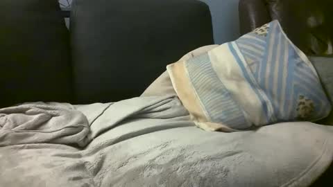 Snapshot of hairiestbear chatting on 02-18-25, 08:16 Hairiest Bear online show from 02-18-25, 08:16