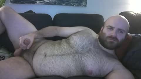 Hairiest Bear online show from 03-08-26, 04:38