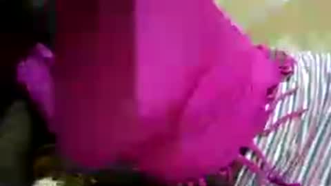 hairy_africanbae online show from 07-12-26, 10:01