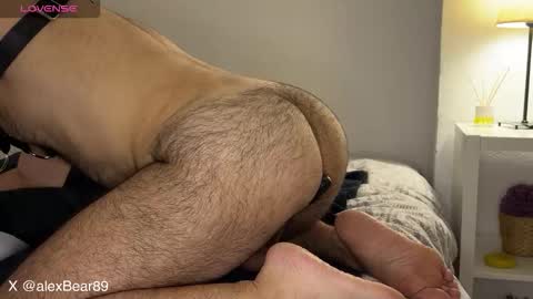 hairyarabbear online show from 09-12-25, 09:48