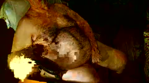 hairybear813 online show from 01-03-25, 12:11