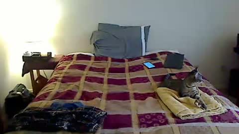 hammerthatthang73 online show from 03-23-26, 09:30