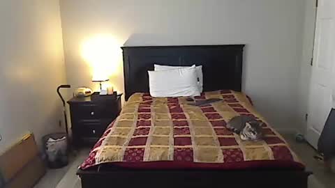 hammerthatthang73 online show from 04-12-26, 09:42