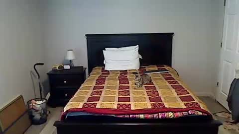 hammerthatthang73 online show from 04-15-26, 10:54