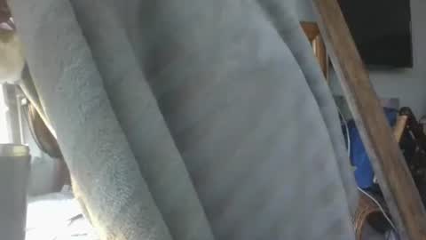 handncocknocum online show from 01-16-26, 09:02