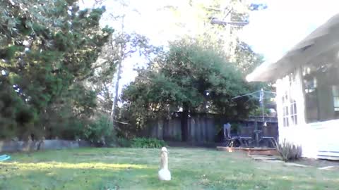 Snapshot of handysmurf chatting on 12-04-24, 11:24 HandySmurf online show from 12-04-24, 11:24