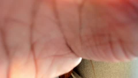 Hanna online show from 01-26-25, 08:56