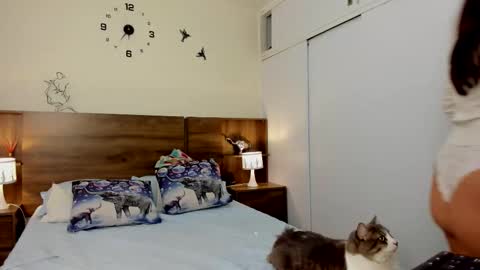 taylor live   online show from 03-03-26, 11:32