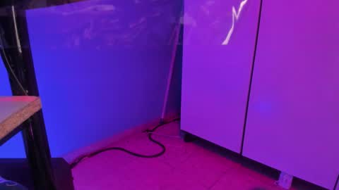 hannyk_ online show from 02-12-26, 11:38