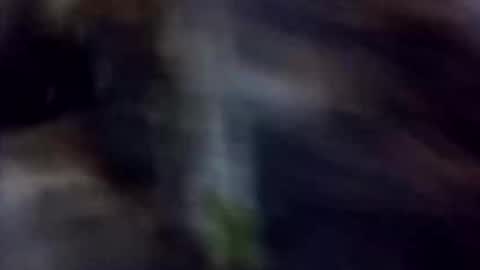 happydick69a online show from 10-02-25, 01:29