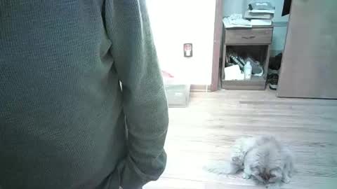 Hardy-Har online show from 01-03-25, 08:01