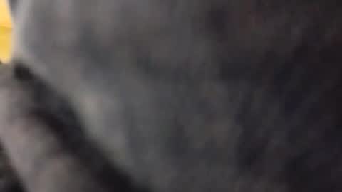 hardandhorny422 online show from 05-10-26, 05:18