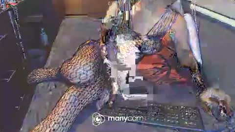 Snapshot of hardfucking_mistress chatting on 03-03-25, 12:48 Irina online show from 03-03-25, 12:48