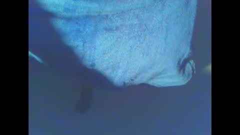 Snapshot of hardning chatting on 12-28-24, 05:12 hardning online show from 12-28-24, 05:12